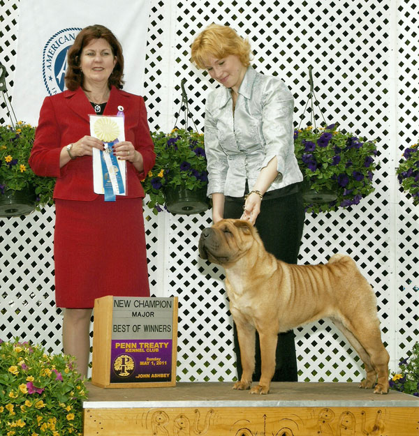 kaia-new-champ